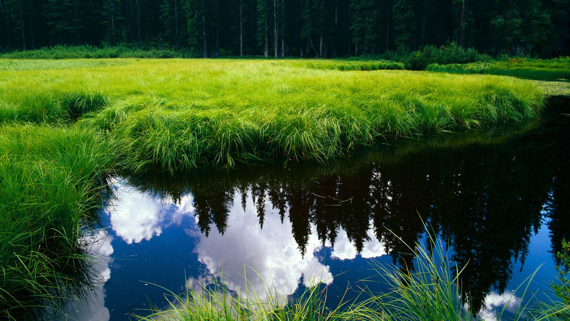秘鲁击败波兰,厄德高展现巨星价值,南美风暴席卷欧洲