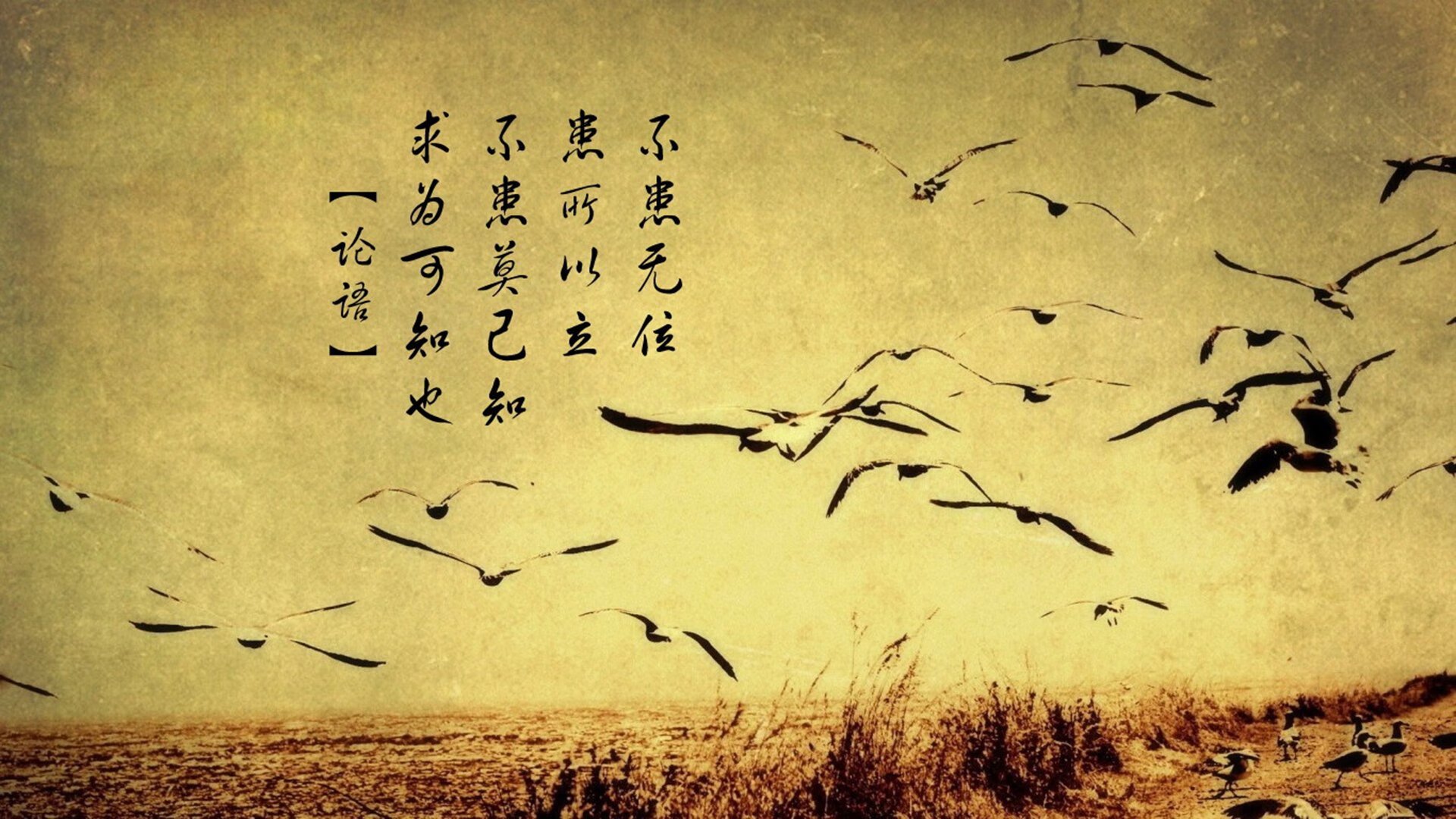 奥运周期关键战之夜，迪马利亚展现巨星价值