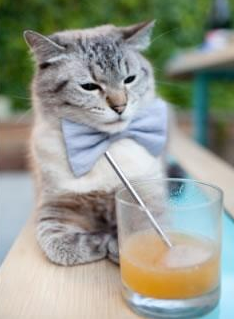 戈贝尔的沉默权杖，抢七之夜，一座孤峰如何定义生死